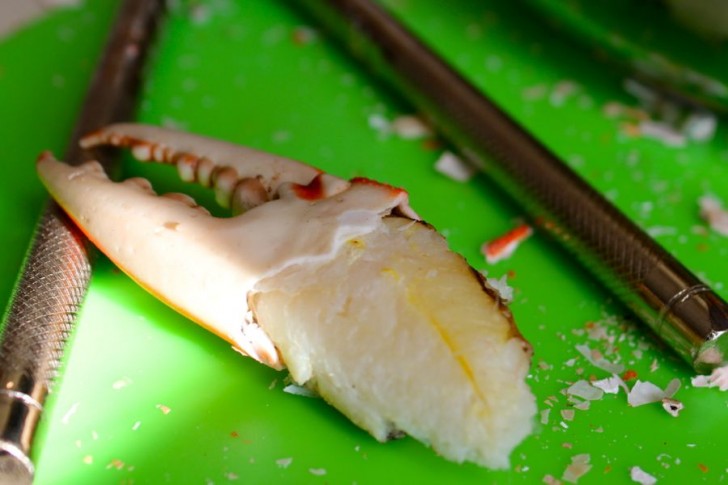 Cleaning Crab Claws: Step-by-Step. The Final Product Cleaning Crab Claws: Step-by-Step. The Final Product