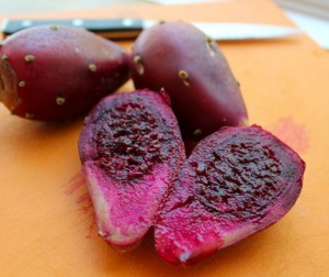 The Other Tuna: Prickly Pear Cactus Fruit The Other Tuna: Prickly Pear Cactus Fruit