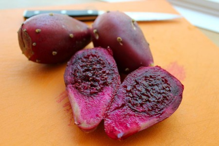 The Other Tuna: Prickly Pear Cactus Fruit