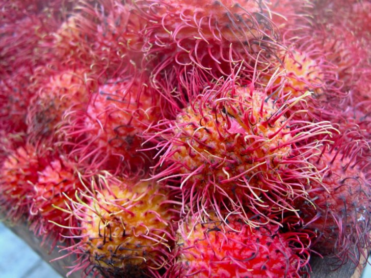 Memories of Mexico: Superior Street Food: Lychee Memories of Mexico: Superior Street Food: Lychee
