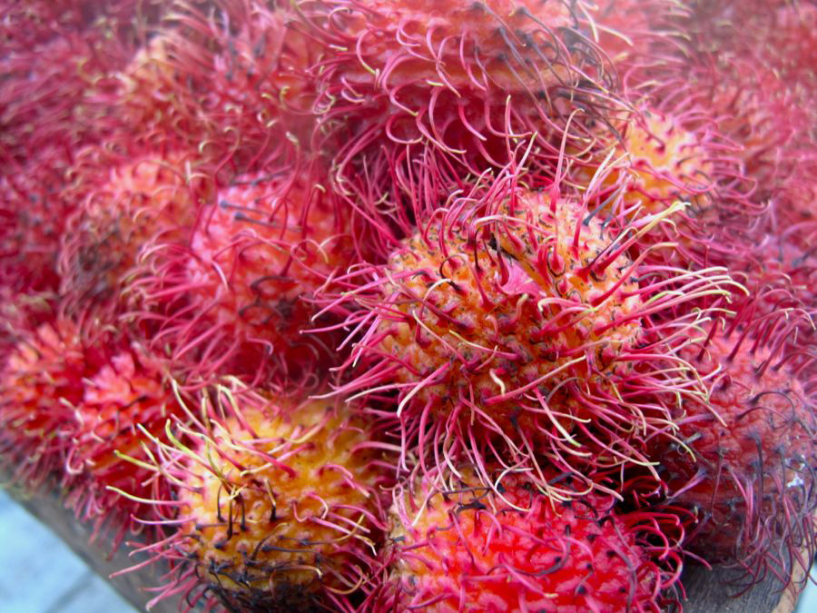 Memories of Mexico: Superior Street Food: Lychee