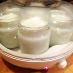 A Yogurt Maker