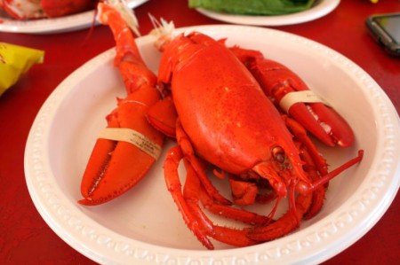 NYC’s Best Day Trips for Food