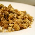 Tips for Cooking With Dried Mulberries