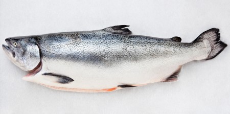 Ora King Salmon: A New Way of Premium, Sustainable, Salmon Farming