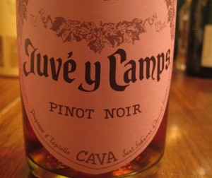 Juve y Camps Brut Rose Cava Juve y Camps Brut Rose Cava
