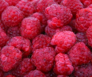Individual Berry Cobblers Recipe Individual Berry Cobblers Recipe