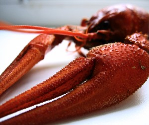 Boiled Crayfish: Your New Favorite Summer Dish Boiled Crayfish: Your New Favorite Summer Dish